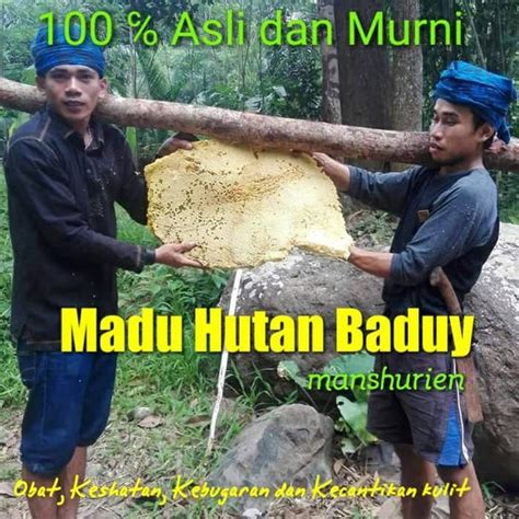 Jual Promo Asli Baduy Madu Hutan Baduy Asli Dan Murni 350gr Di Lapak