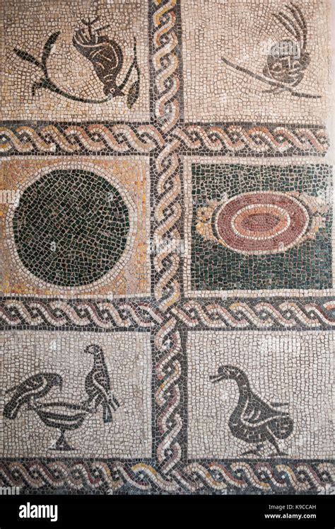 Roma Italia Pavimentos De Mosaico C Ad Palazzo Massimo Alle