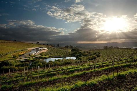 Tripadvisor Private Stellenbosch Weintour Ab Stellenbosch Zur