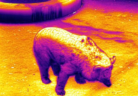 characteristics  infrared radiation