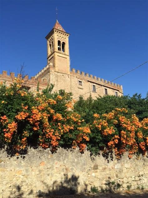 Bolgheri, Tuscany: the pretty village of Nobel prize fame you will love ...