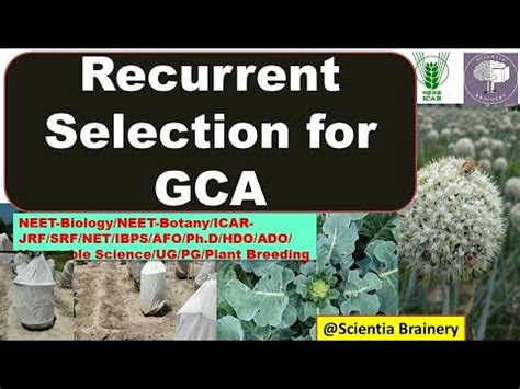 Recurrent Selection For Gca Population Improvement Method