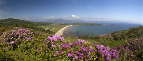 Carradale Beach photos | UK Beach Guide