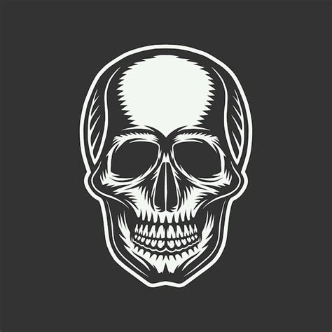 Premium Vector Vintage Retro Skull Graphic Art Vector Illustration Graphic Art