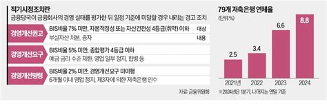 10년 만에부실 저축銀 3곳 경영실태 점검 한국경제