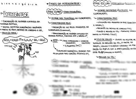 SOLUTION Resumo Fotoss Ntese E Bioenergia Studypool