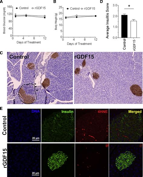 Comprehensive Proteomics Analysis Of Stressed Human Islets Identifies