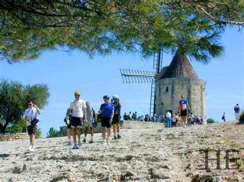 Provencal A Gay Bike Tour Of Provence France HE Travel