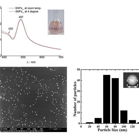 Up Uv Vis Absorption Spectra Of Synthesized Pvp Coated Snps After One Download Scientific