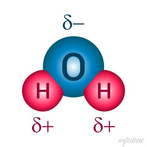 Polar molecule diagram of water vector illustration isolated • wall ...