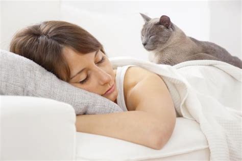 10 Signs That Your Cat Loves You