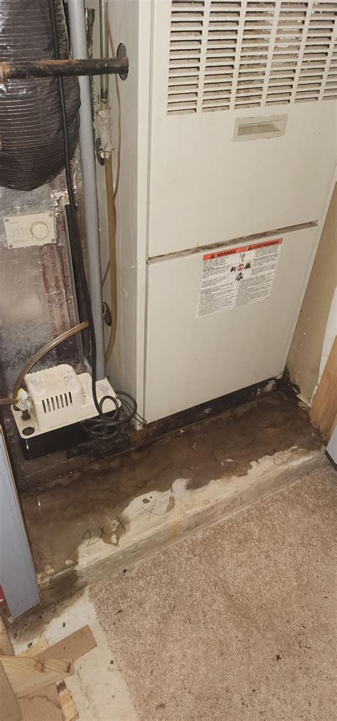 Why Is There Water Inside My Furnace at Georgia Farber blog