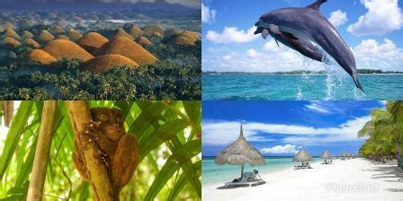 Bohol And Panglao Island Tour Package Affordable Cebu Bohol Package