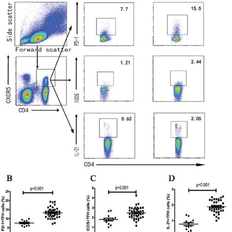 Flow Cytometric Analysis Of The Frequency Of Peripheral Blood Tfh