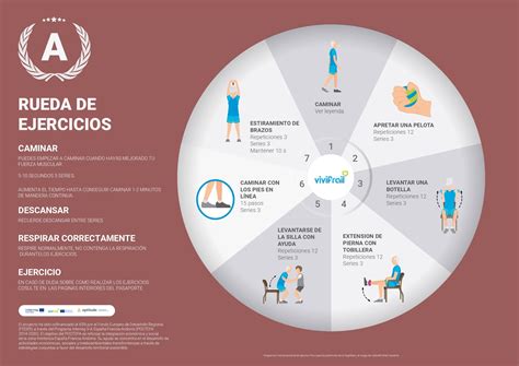 Vivifrail Programa De Ejercicio F Sico Multicomponente