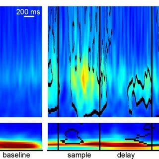 Average time-frequency power of LFP of a single electrode of a single ... 