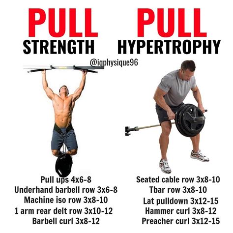 Push Pull Workout Plans Create A Full Balanced Body With These