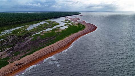 Coastal Ecosystem Services In Guyana Youtube