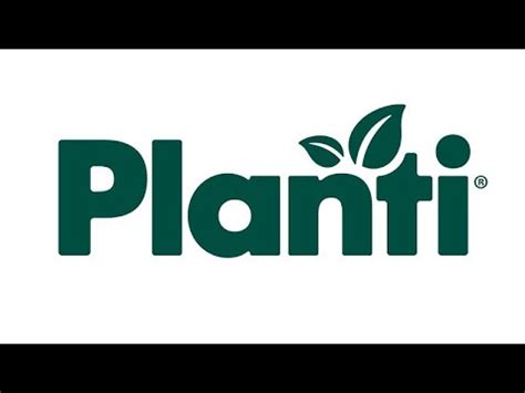 Plantì NERIUM OLEANDER Oleandro Piante vere da esterno usato per