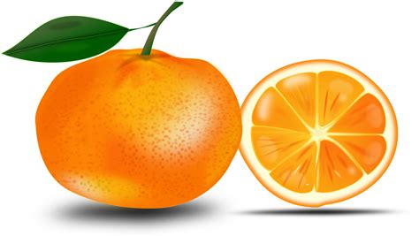 clipart slice   orange