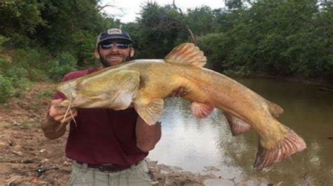 Massive Catfish Caught In Texas Creek