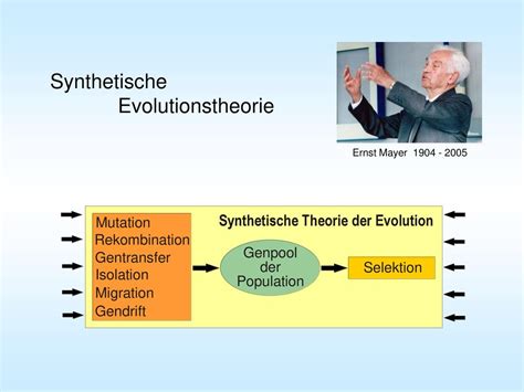 PowerPoint Folien Zur 3 Vorlesung Bionik I Ppt Herunterladen