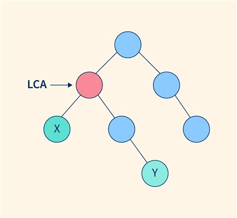 Common Ancestor Binary Tree