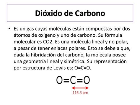 Dioxido De Carbono