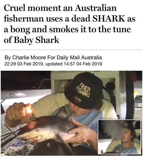 Man. These baby shark challenges are getting out of hand : r/australia