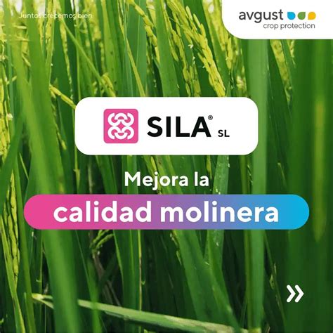 Sila Sl Fertilizante Foliar Silicio Croper