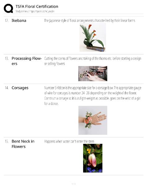 TSFA Floral Certification Exam Prep 2025/2026: The Ultimate Study Guide