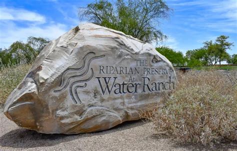 Riparian Preserve at Water Ranch