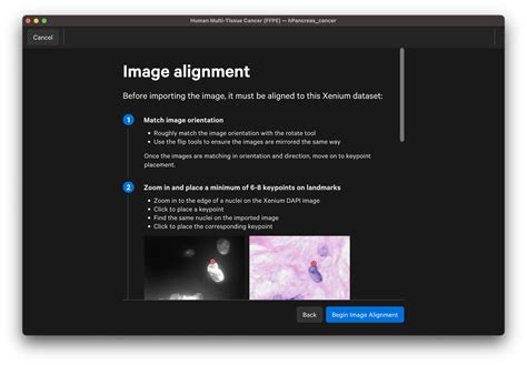 Image Alignment In Xenium Explorer Official 10x Genomics Support