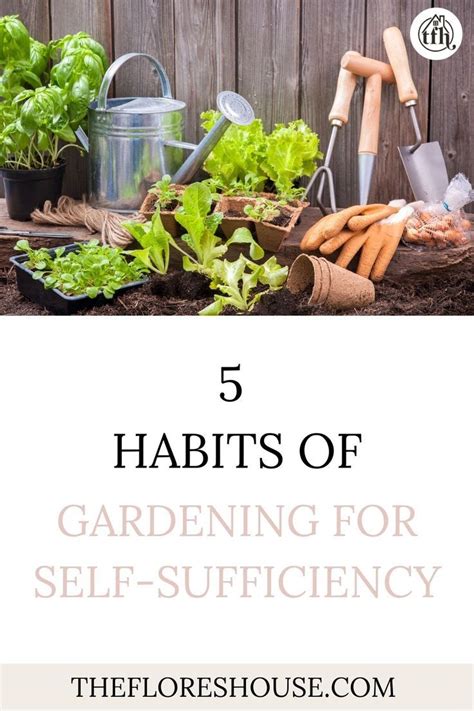 how much food to grow to be self-sufficient, backyard self sufficiency ...