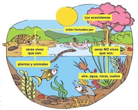 Que Es La Biosfera Caracteristicas Tipos Y Ejemplos Images