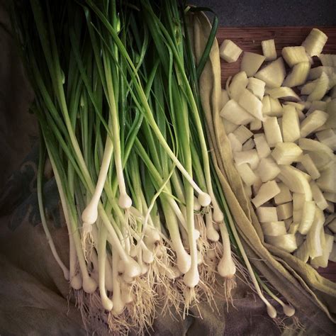How Much Of A Spring Onion Is Edible at Carlos Bell blog