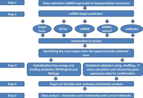 A Flow Chart Illustrating Our New Improved Protocol For The Mirna