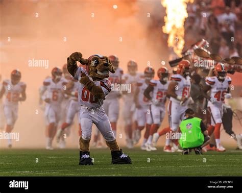 August 21, 2017: Cleveland Browns Mascot ''CHOMPS'' performs during the ...