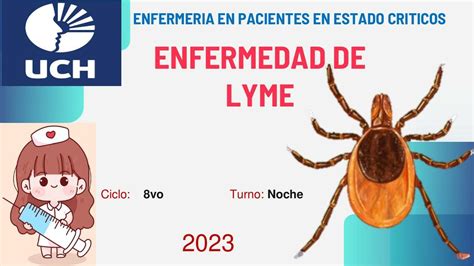 ¿qué Es La Enfermedad De Lyme Karen Lozano Udocz