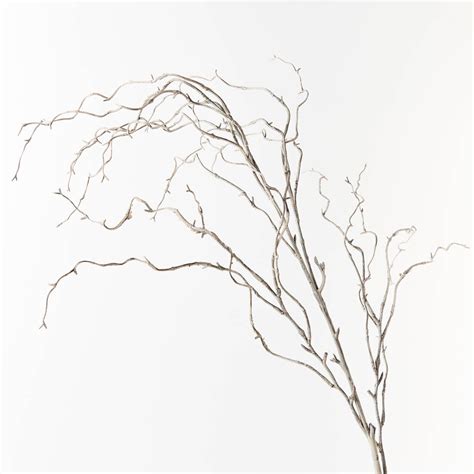 Artificial Twig Curly Willow Spray Grey Wash 144cm Pack Of 12 — Flora Designs Australia