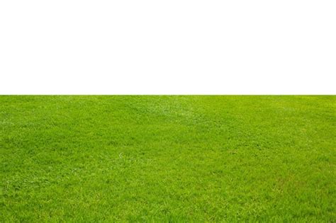 Premium Photo Fresh Green Grass Lawn Isolated On White Background