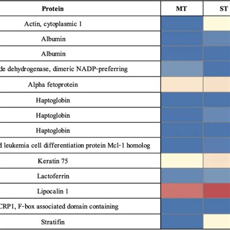 Heatmap Showing The Relative Abundance Color Of 14 Candidate Proteins Download Scientific