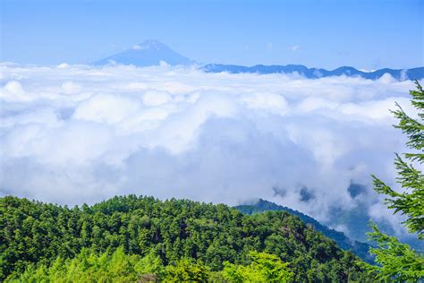 「雲取山」のおすすめ登山ルートは？初心者の注意点や宿泊方法まで完全ガイド！ | キャンプ・アウトドア情報メディアhinata
