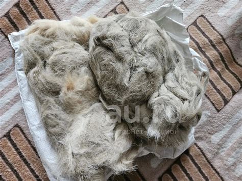 шерсть собачья — купить в Красноярске. Состояние: Новое. Материалы для ...