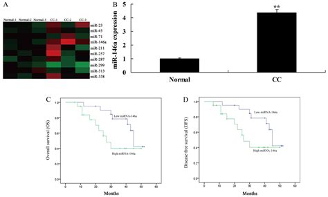 Mir A Regulates The Function Of Th Cell Differentiation To