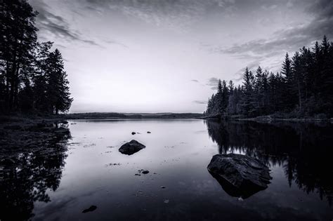 Fond D Cran Des Arbres Paysage For T Monochrome Le Coucher Du