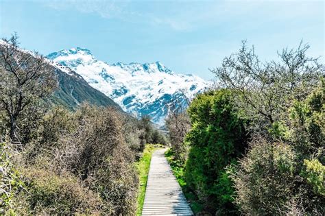 Premium Photo Aoraki Mount Cook The Highest Mountain In New Zealand