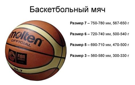 Баскетбольный мяч – особенности разных видов, рейтинг лучших ...