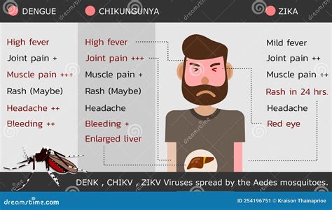 Dengue Chikungunya And Zika Cartoon Vector Cartoondealer