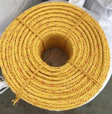 Mm Yellow Pp Danline Rope For Fisheries Application At Rs Kg In